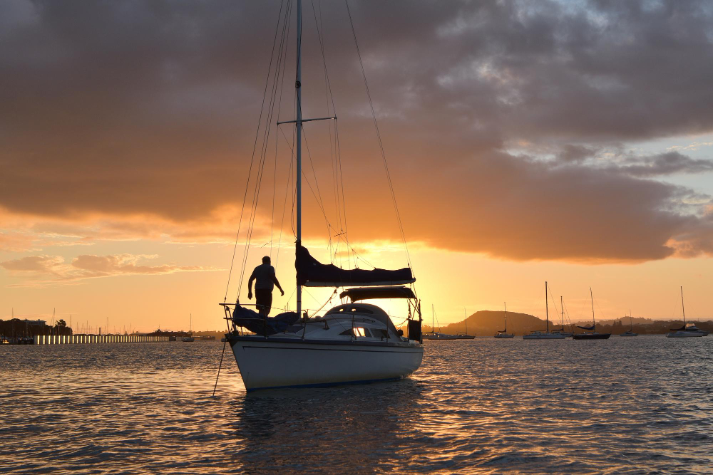 Experiencia a bordo